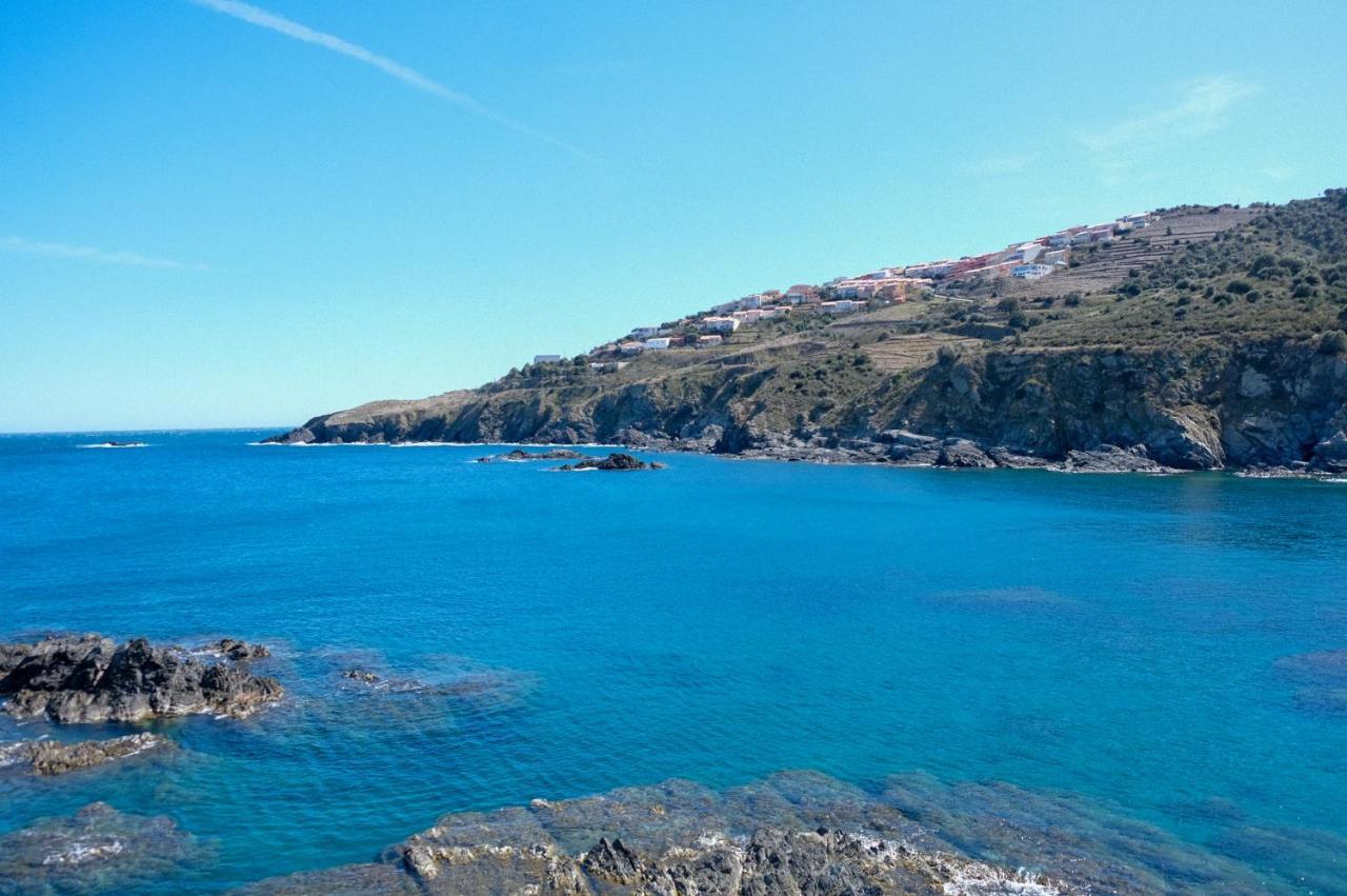 F3 En Bord De Mer Avec Piscine Cerbère Buitenkant foto