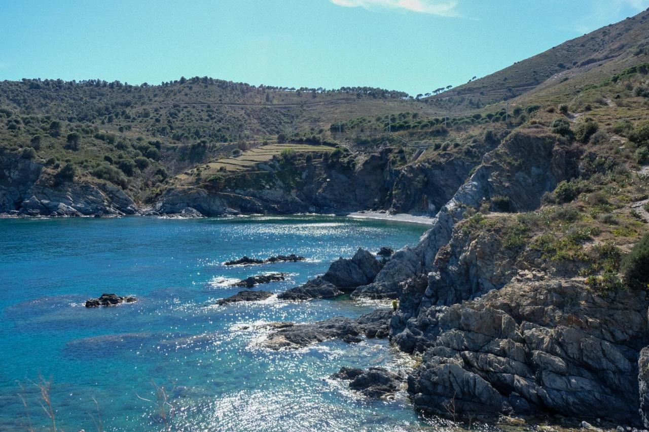 F3 En Bord De Mer Avec Piscine Cerbère Buitenkant foto